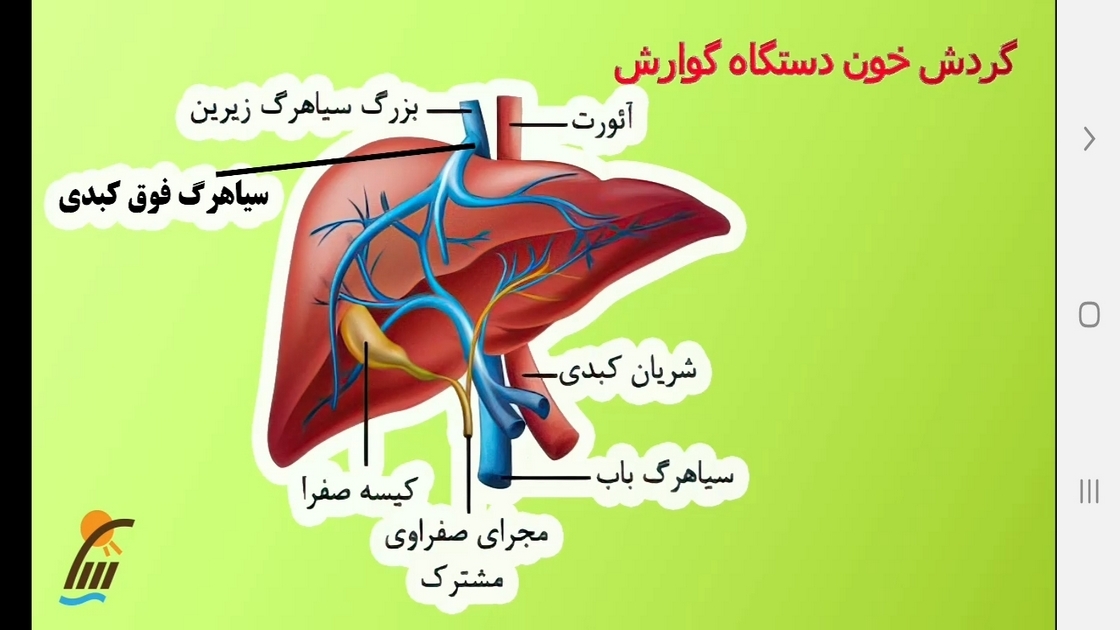 اسکرین شات 5 برنامه زیست شناسی (۱) - آموزش و آزمون