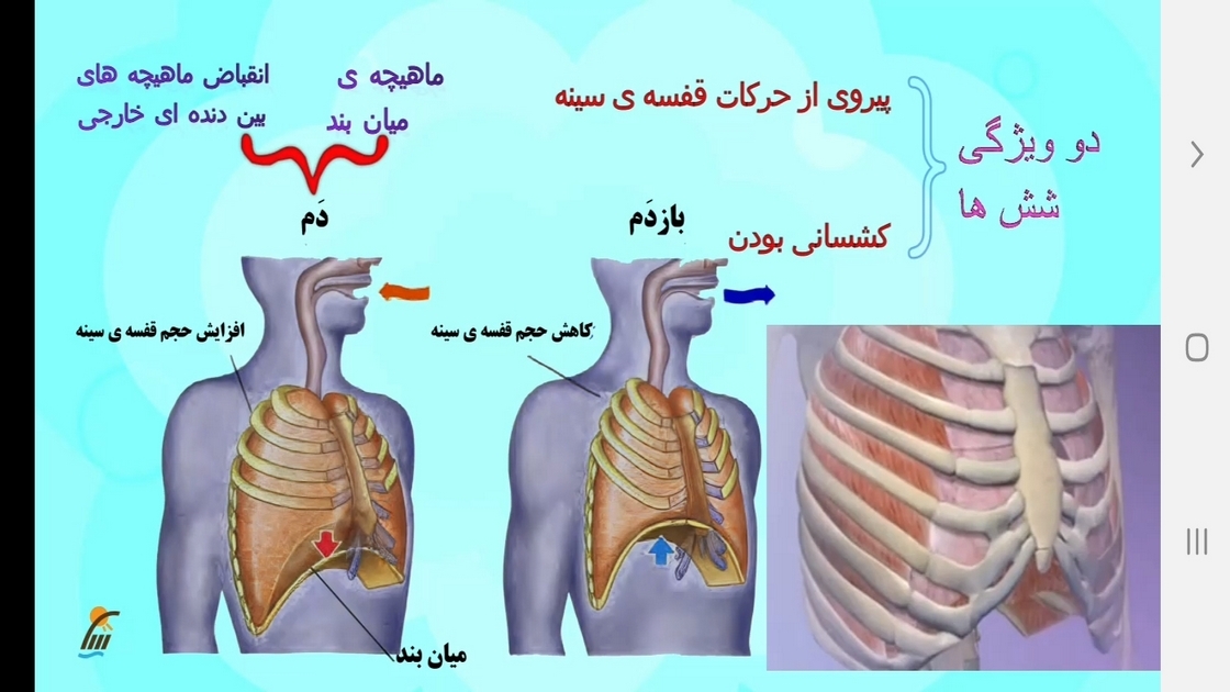 اسکرین شات 8 برنامه زیست شناسی (۱) - آموزش و آزمون