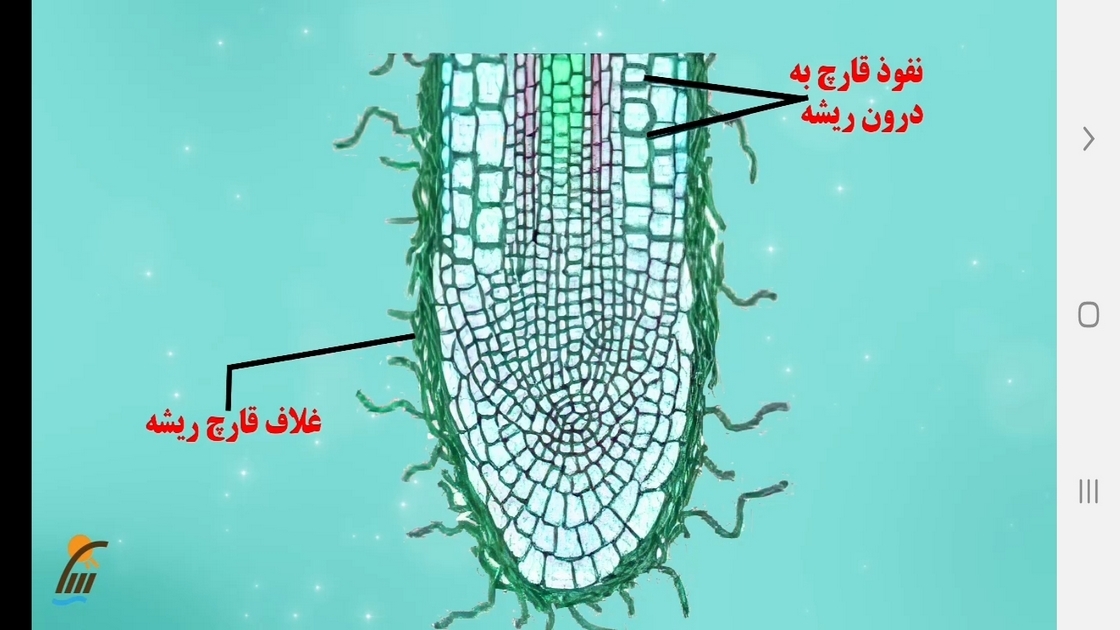 اسکرین شات 4 برنامه زیست شناسی (۱) - آموزش و آزمون