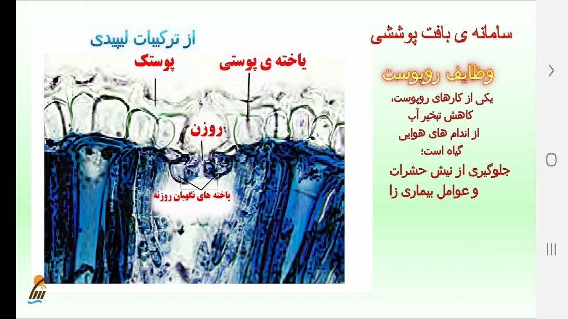 اسکرین شات 10 برنامه زیست شناسی (۱) - آموزش و آزمون