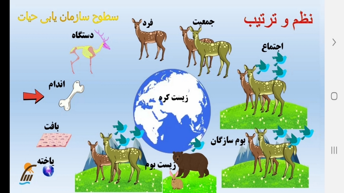 اسکرین شات 12 برنامه زیست شناسی (۱) - آموزش و آزمون