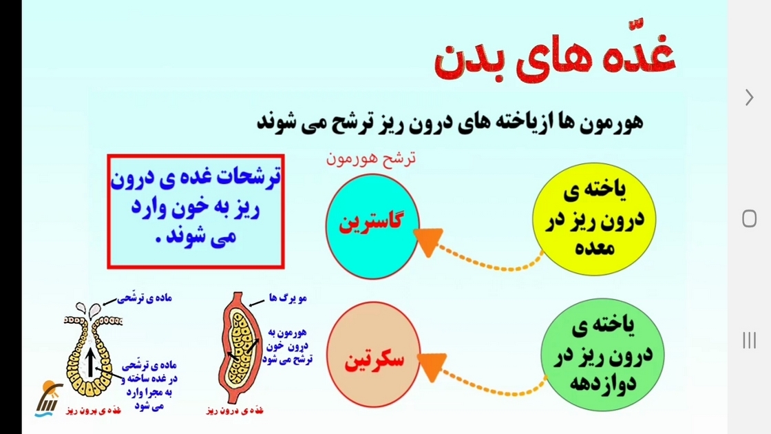 اسکرین شات 5 برنامه زیست شناسی (۲) - آموزش و آزمون