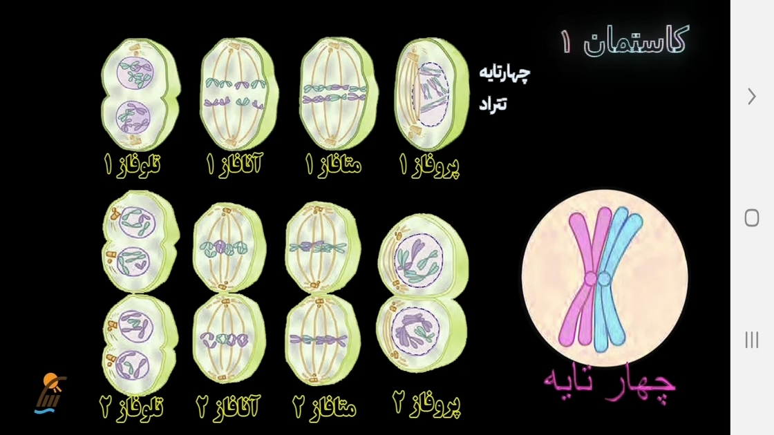 اسکرین شات 8 برنامه زیست شناسی (۲) - آموزش و آزمون