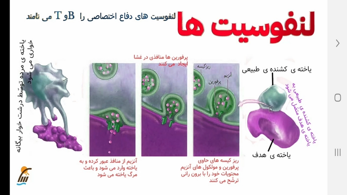 اسکرین شات 7 برنامه زیست شناسی (۲) - آموزش و آزمون