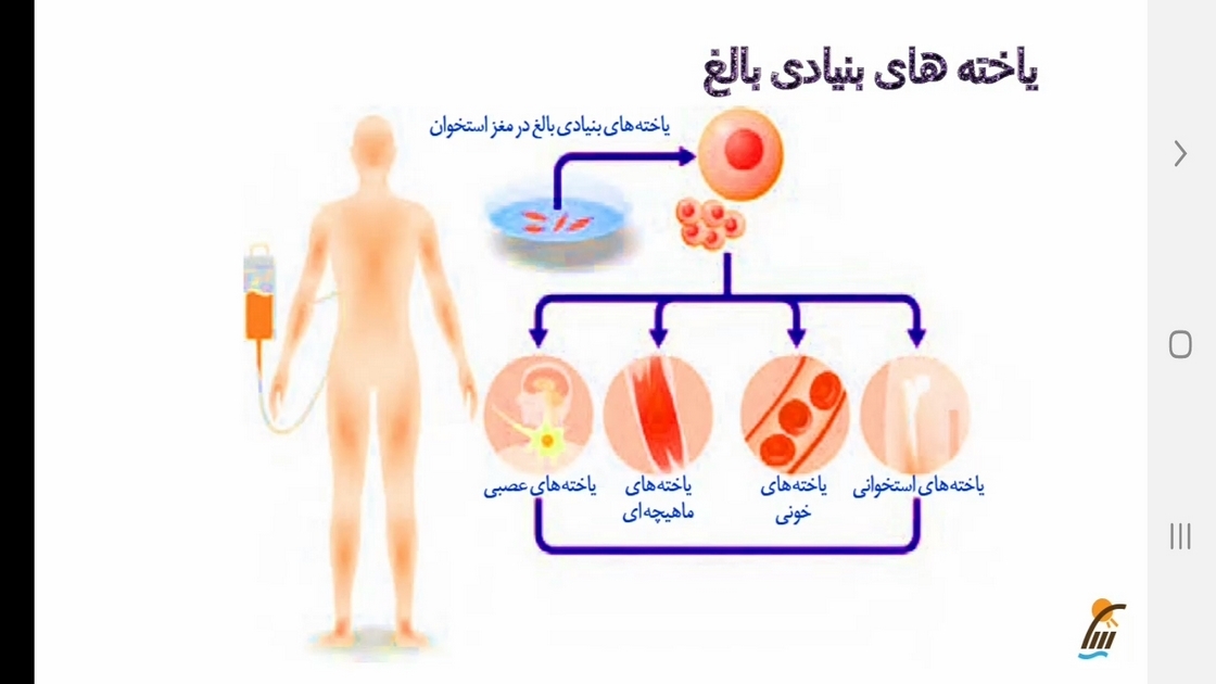 اسکرین شات 2 برنامه زیست شناسی (3) - آموزش و آزمون