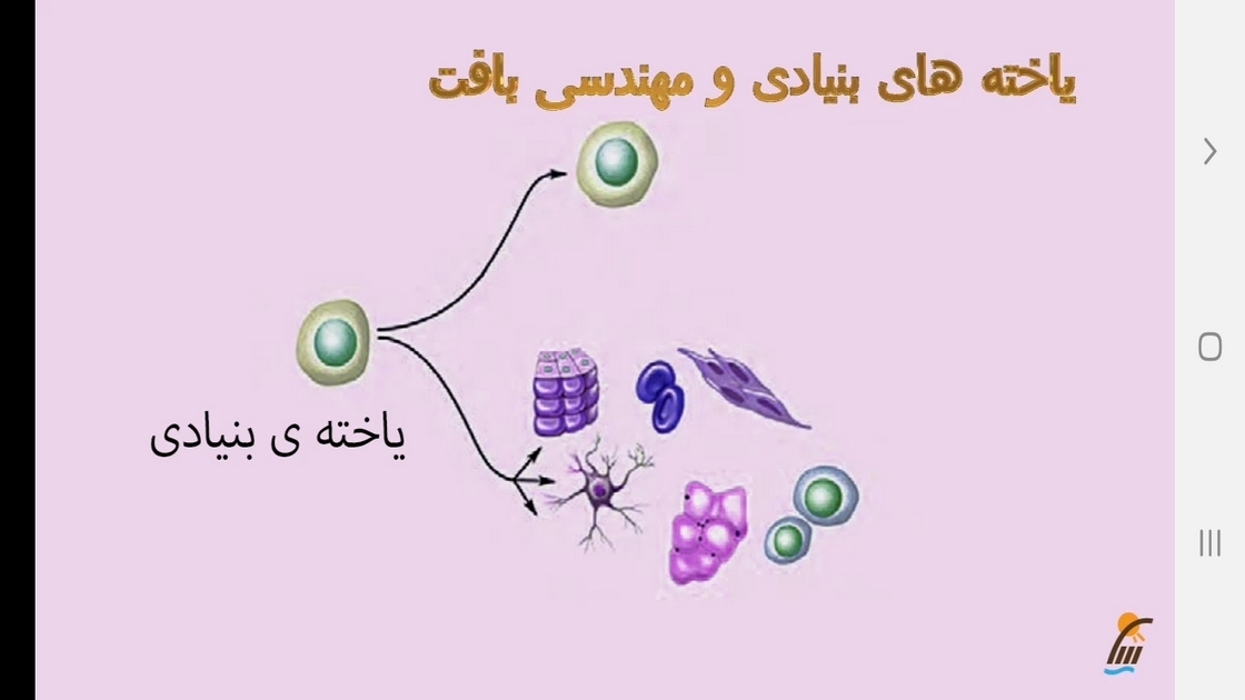 اسکرین شات 3 برنامه زیست شناسی (3) - آموزش و آزمون