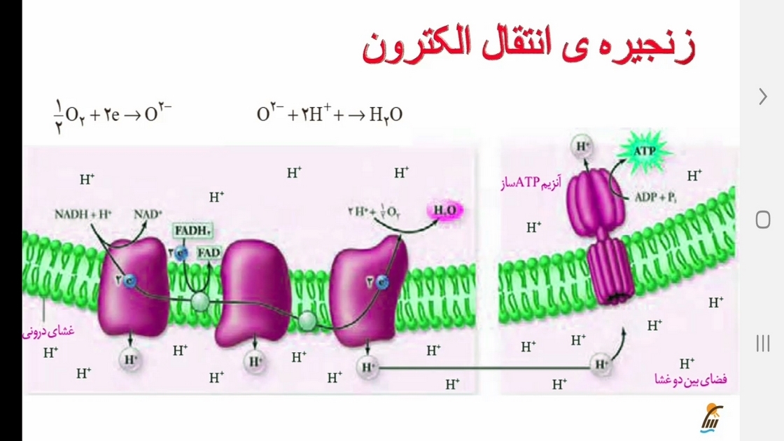 اسکرین شات 8 برنامه زیست شناسی (3) - آموزش و آزمون