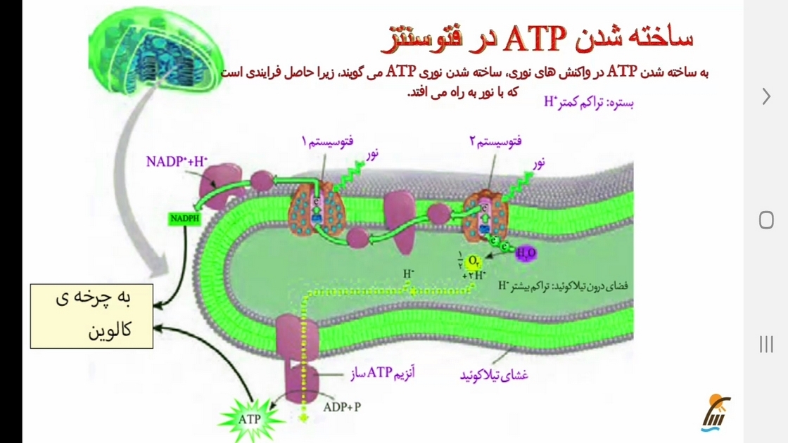 اسکرین شات 9 برنامه زیست شناسی (3) - آموزش و آزمون