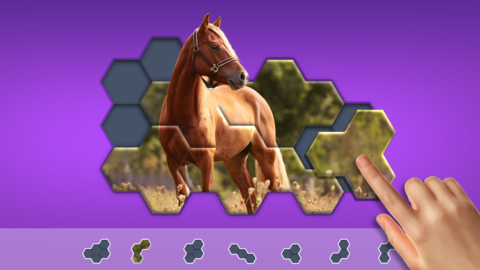 اسکرین شات 8 بازی Hexa Jigsaw Puzzle ®