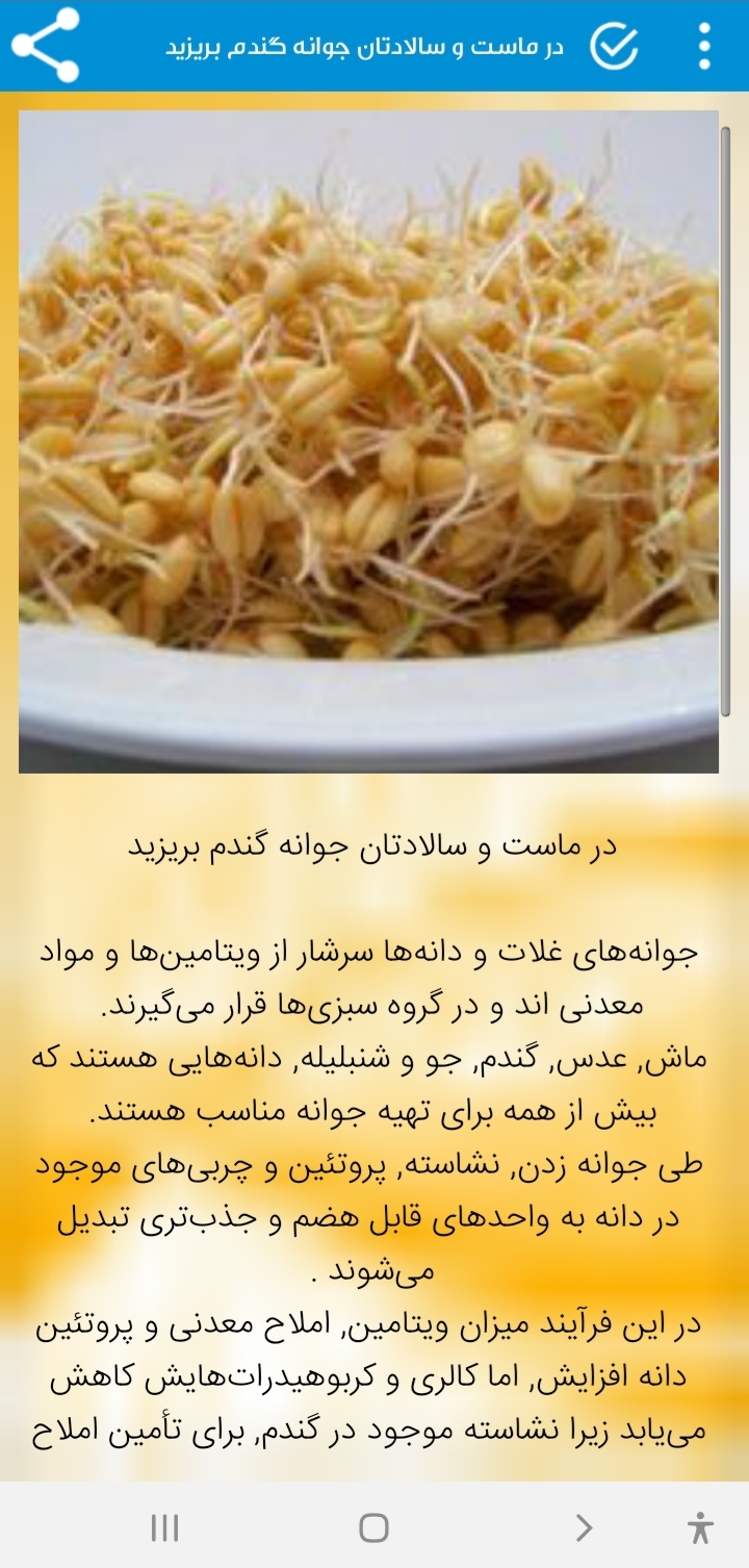 اسکرین شات 8 برنامه سالاد ممتاز-کاملترین مرجع تهیه سالاد