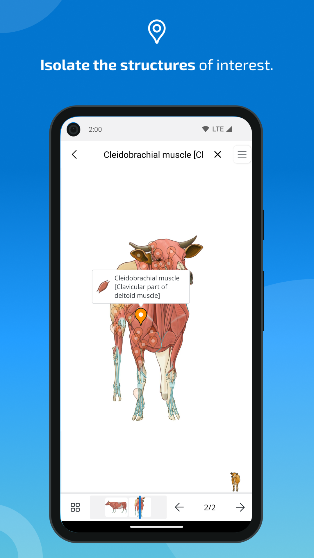 اسکرین شات 3 برنامه IMAIOS vet-Anatomy