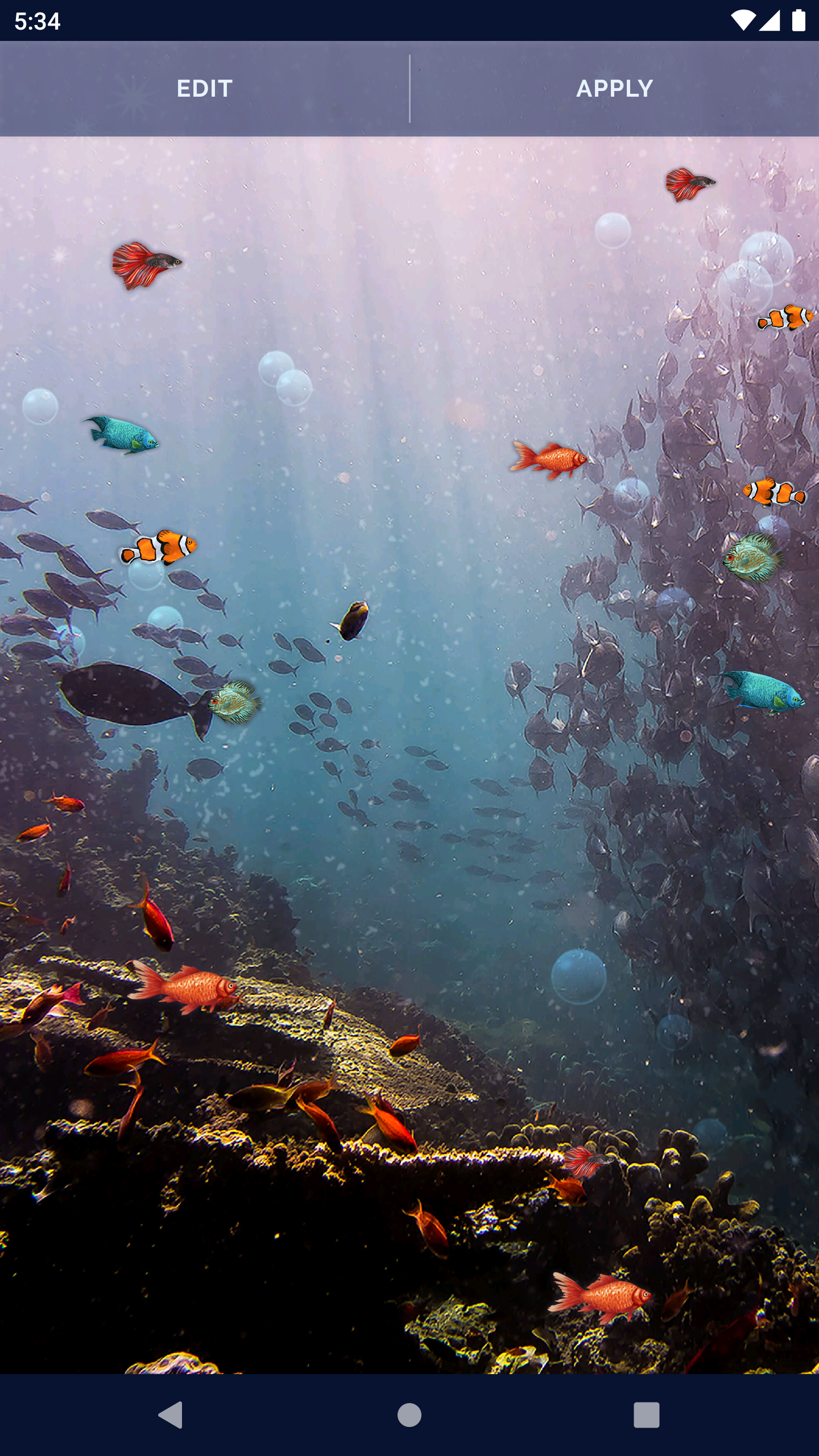 اسکرین شات 4 برنامه Ocean Fish Live Wallpaper 4K