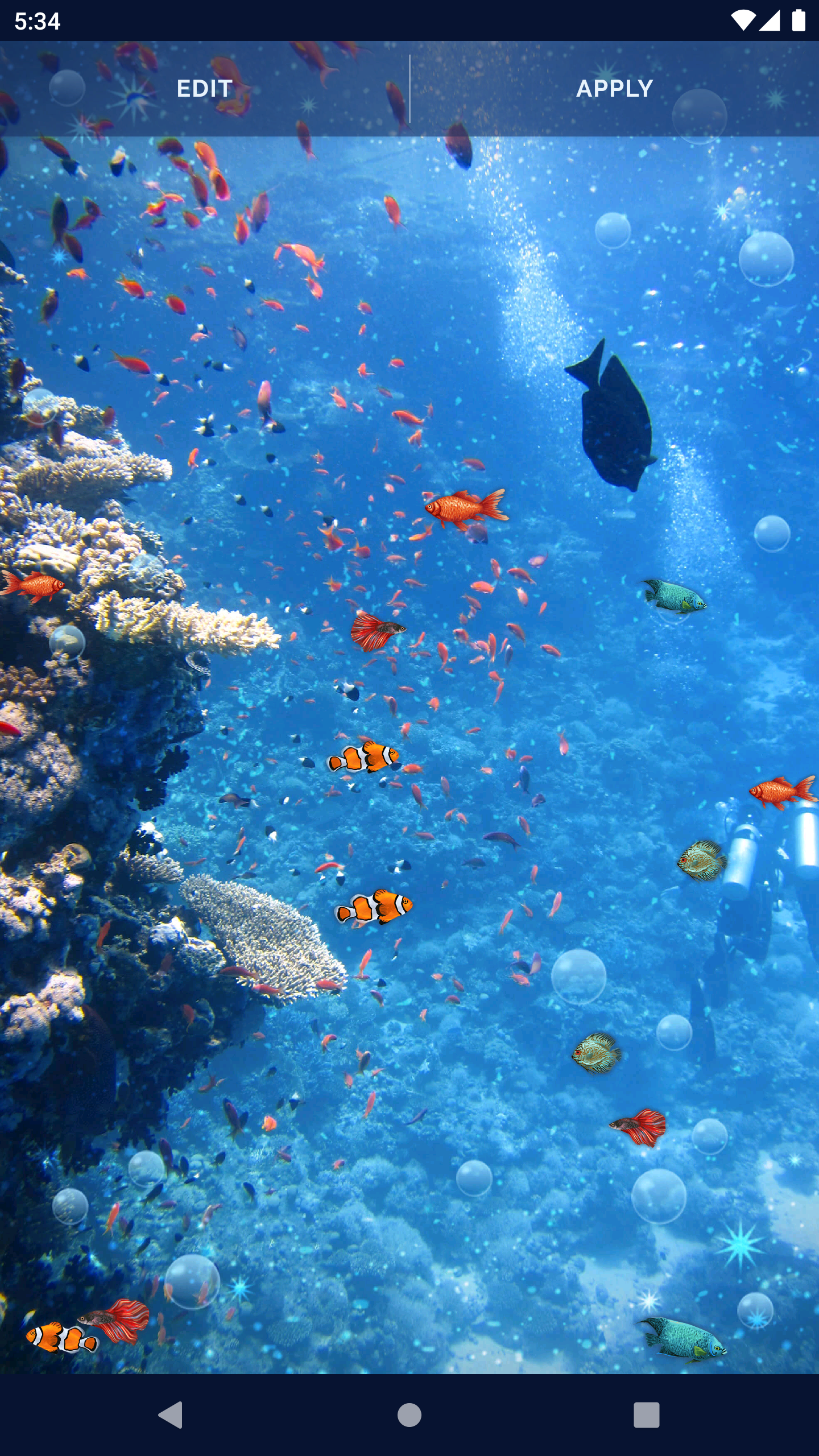 اسکرین شات 6 برنامه Ocean Fish Live Wallpaper 4K