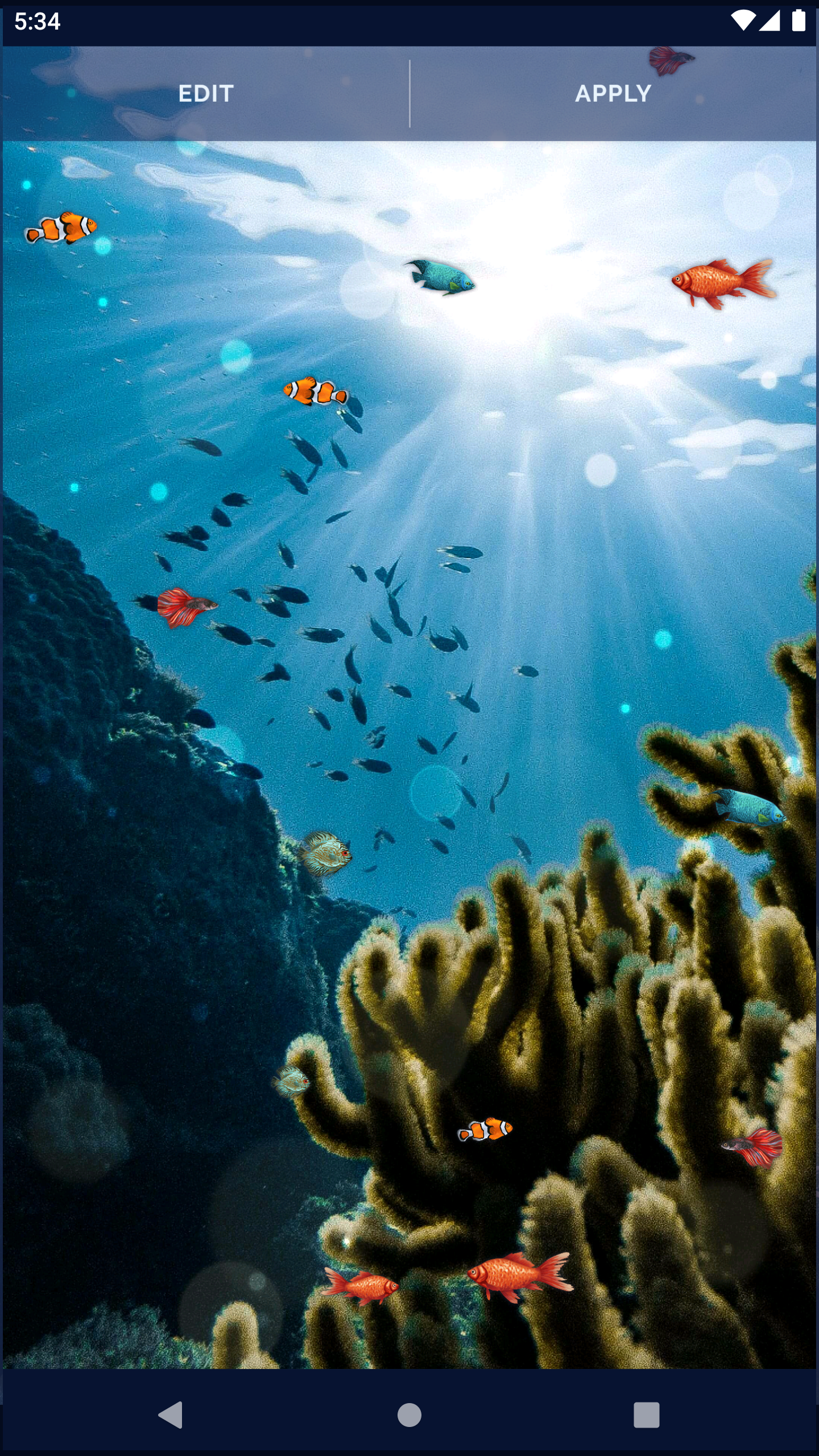 اسکرین شات 8 برنامه Ocean Fish Live Wallpaper 4K