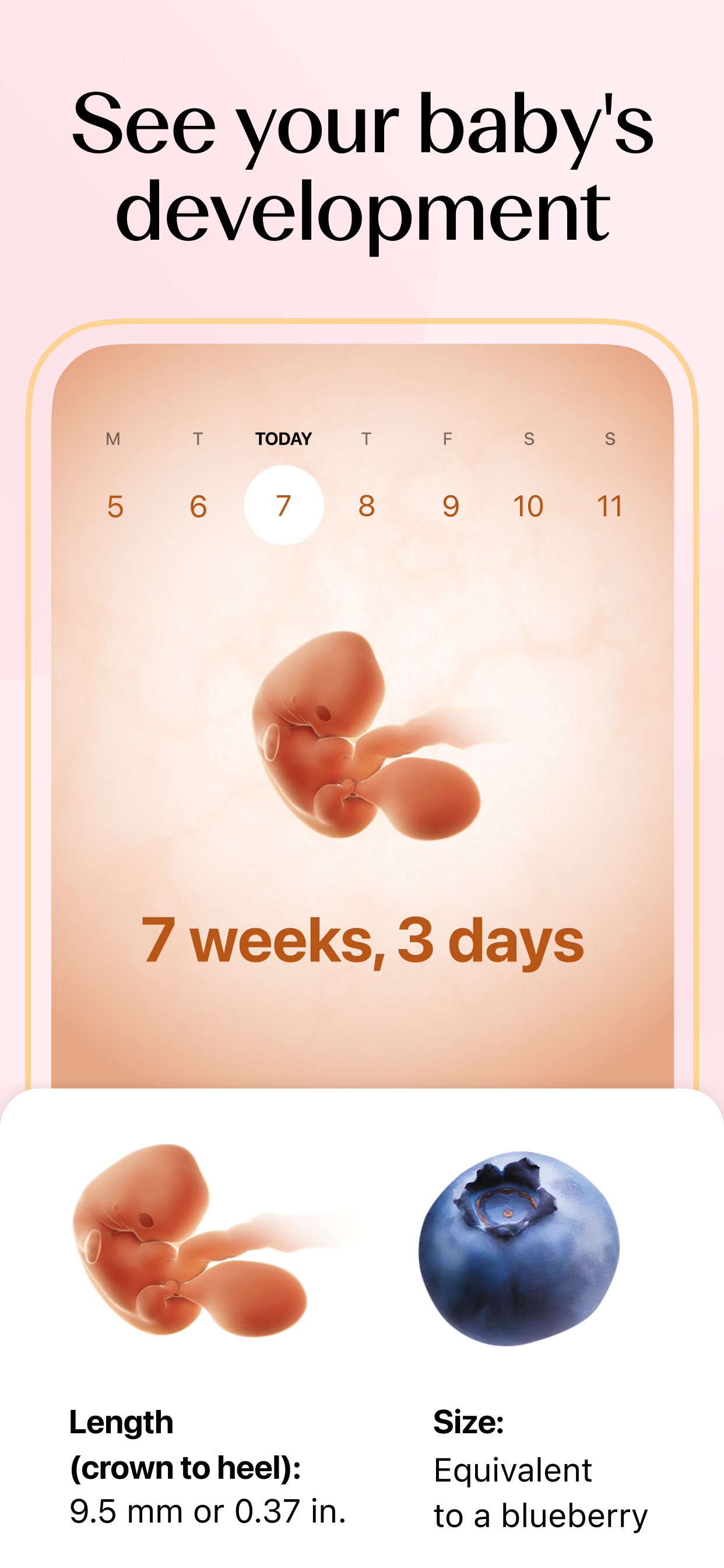 اسکرین شات 4 برنامه Flo Ovulation & Period Tracker