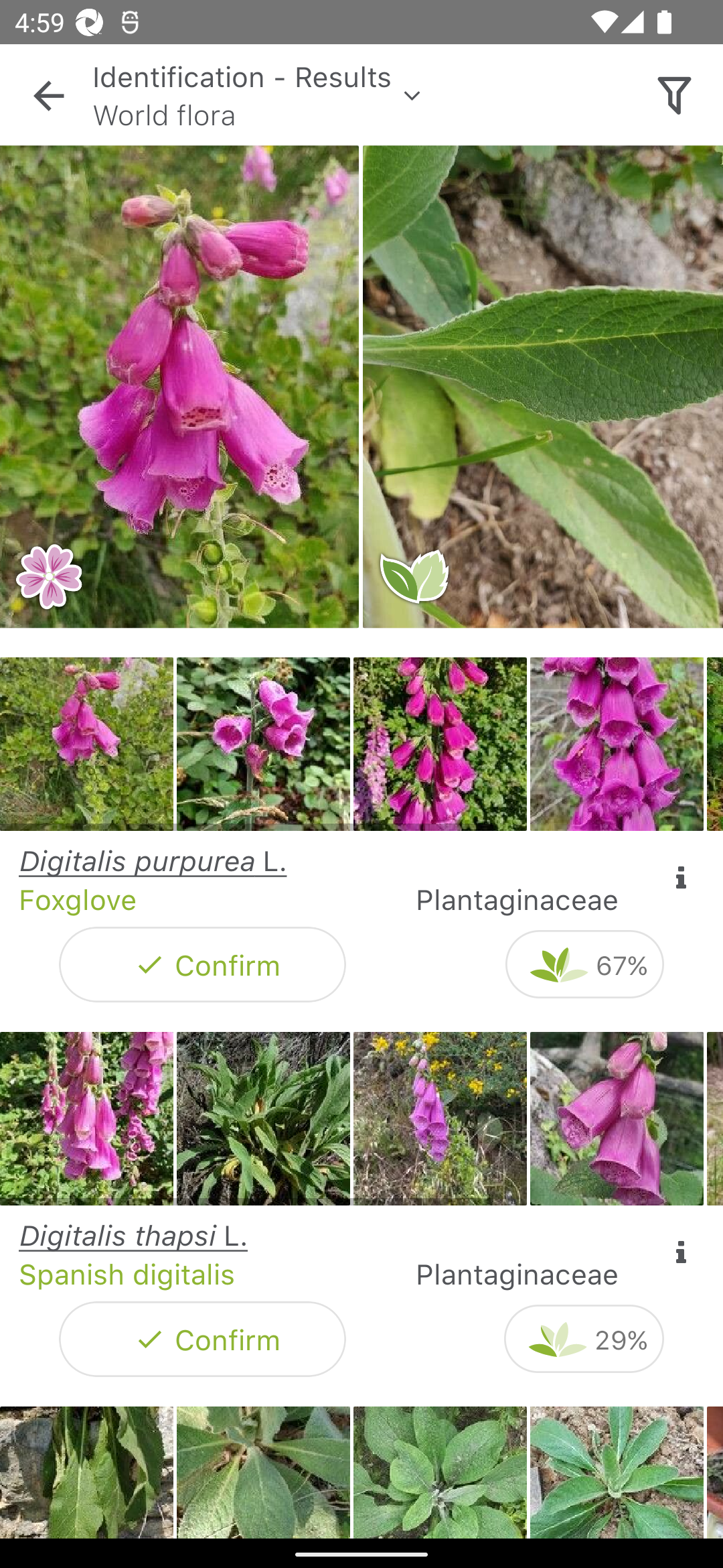 اسکرین شات 2 برنامه PlantNet Plant Identification