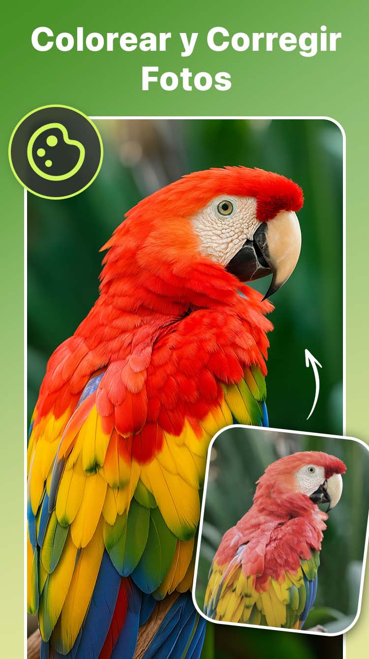 اسکرین شات 2 برنامه Mejorador de Fotos IA -PixLift