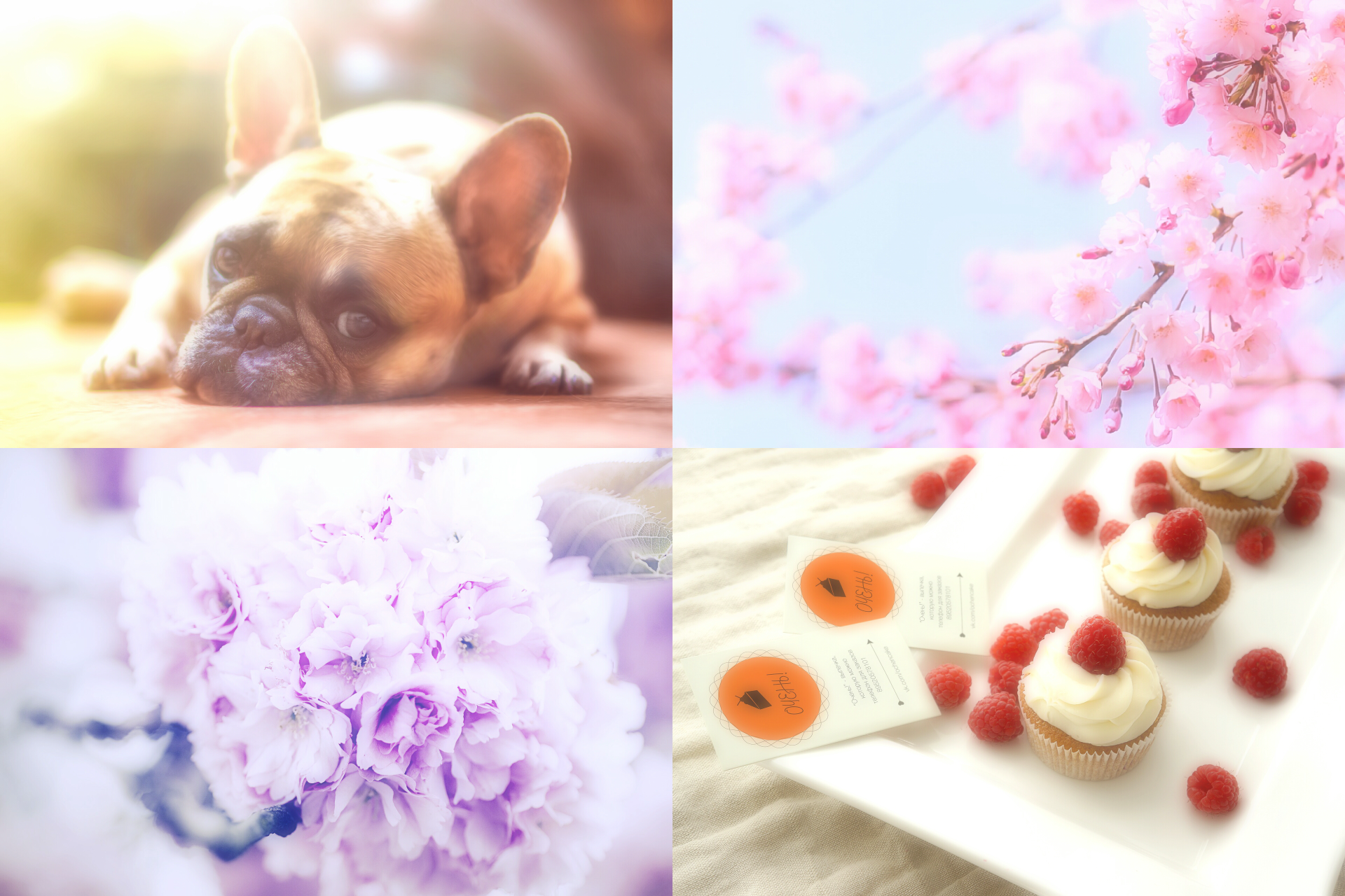 اسکرین شات 8 برنامه Soft Focus : Soft Photo Fluffy