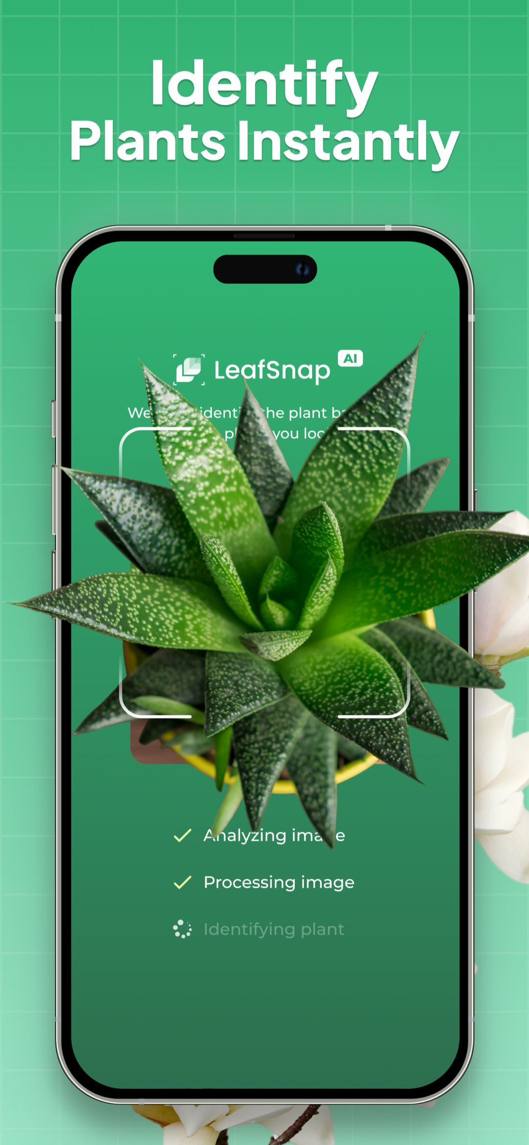 اسکرین شات 1 برنامه Plant Identifier: LeafSnap