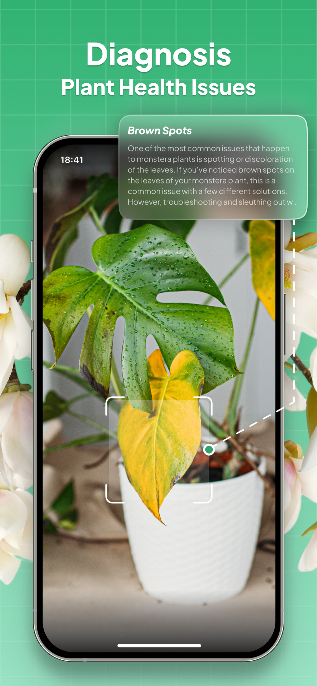 اسکرین شات 3 برنامه Plant Identifier: LeafSnap