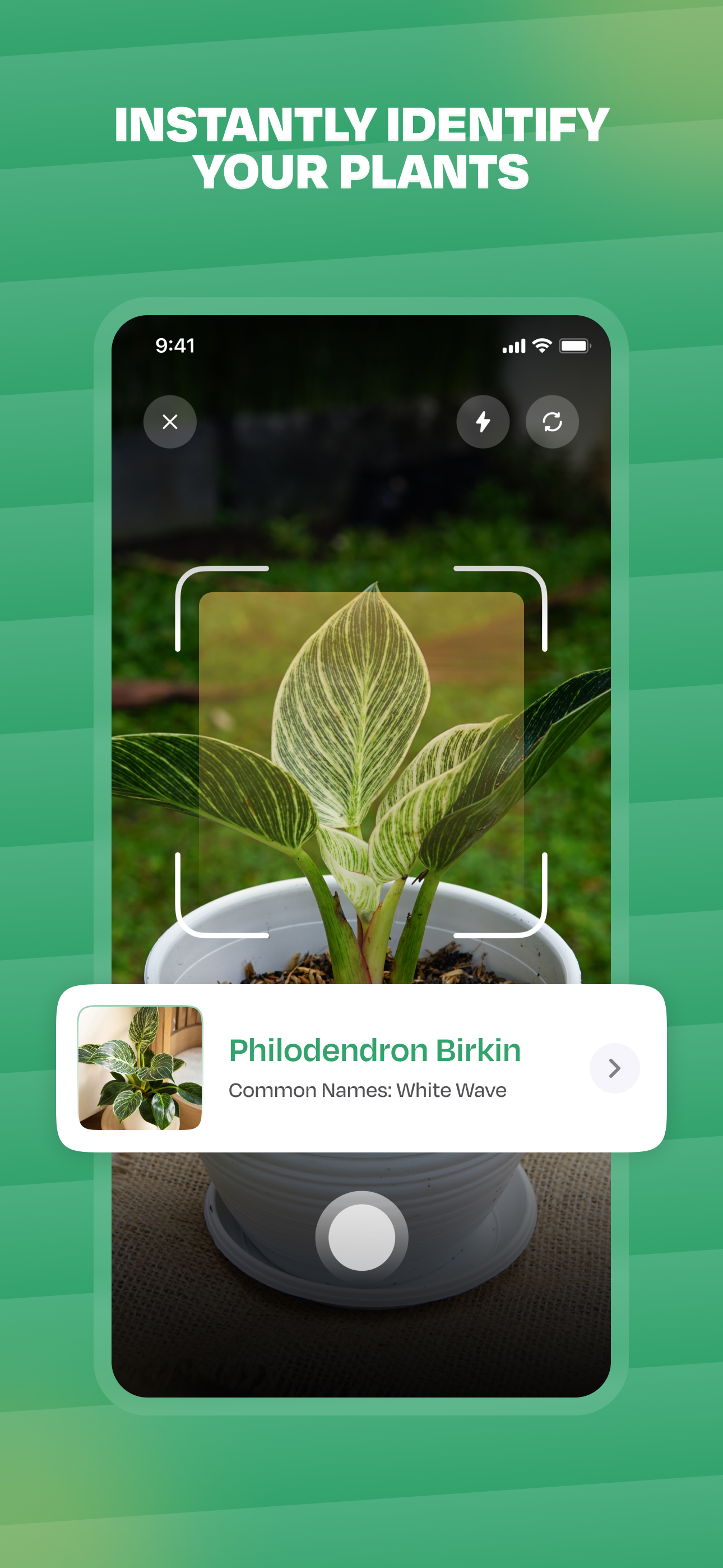 اسکرین شات 2 برنامه Plant Identifier: LeafSnap