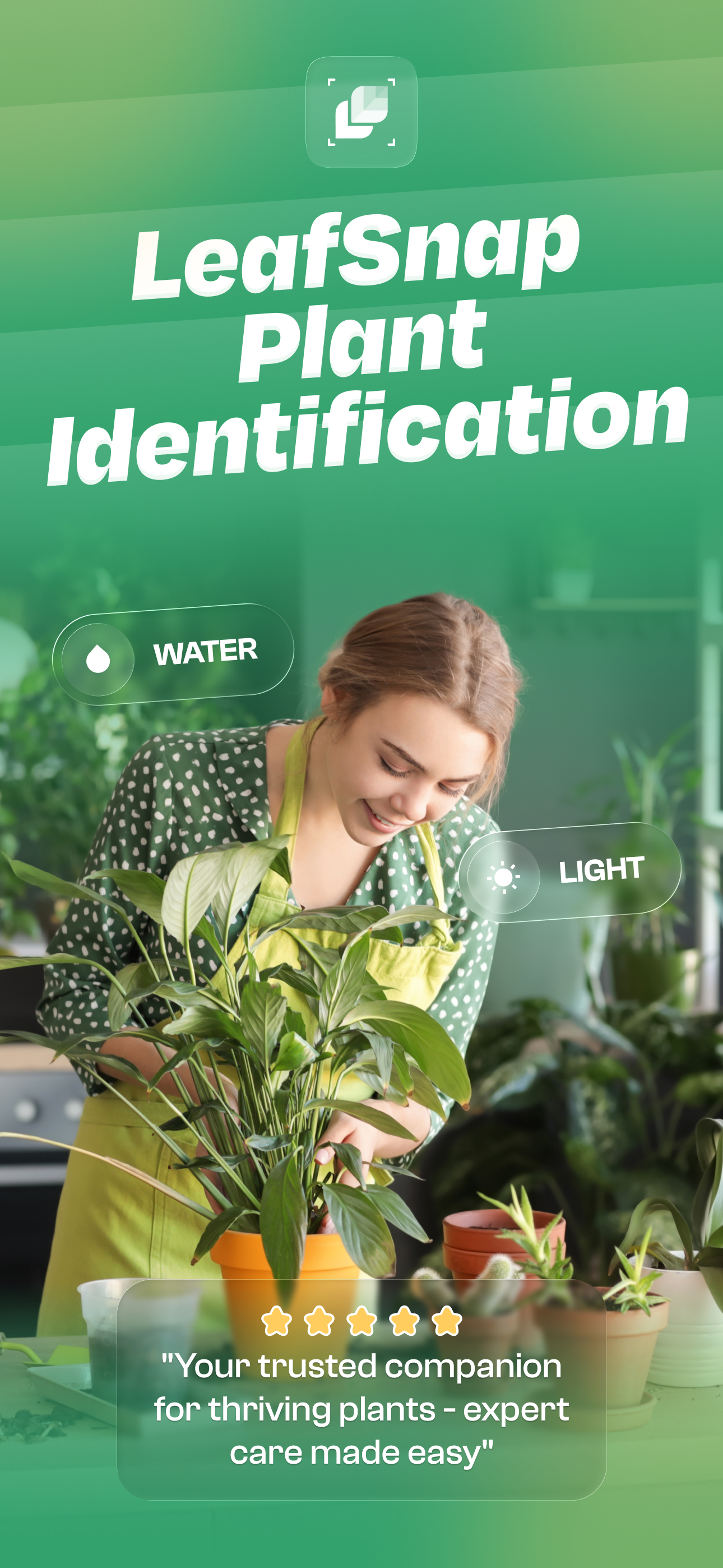 اسکرین شات 1 برنامه Plant Identifier: LeafSnap