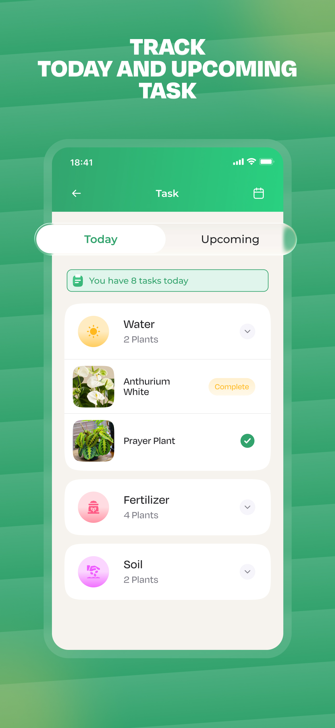 اسکرین شات 6 برنامه Plant Identifier: LeafSnap