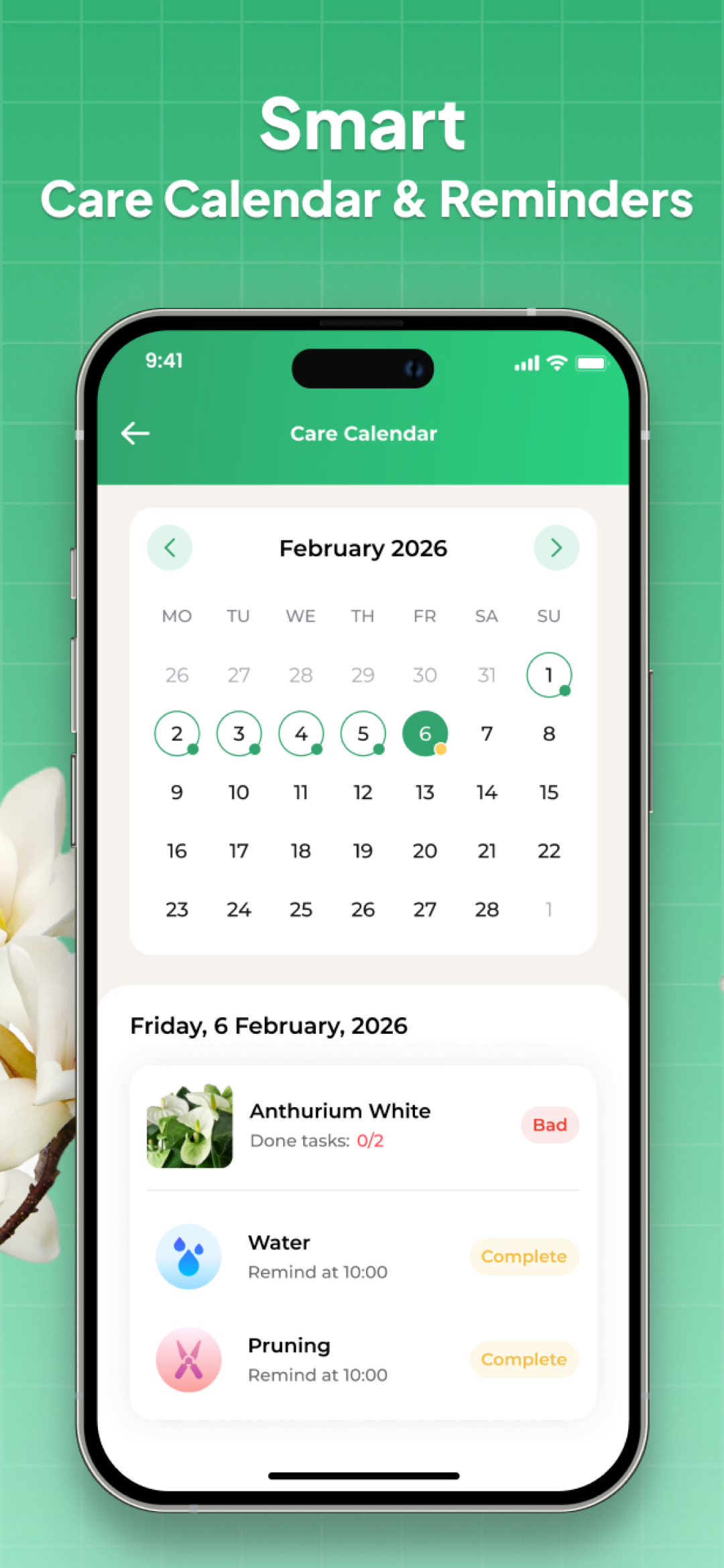 اسکرین شات 6 برنامه Plant Identifier: LeafSnap