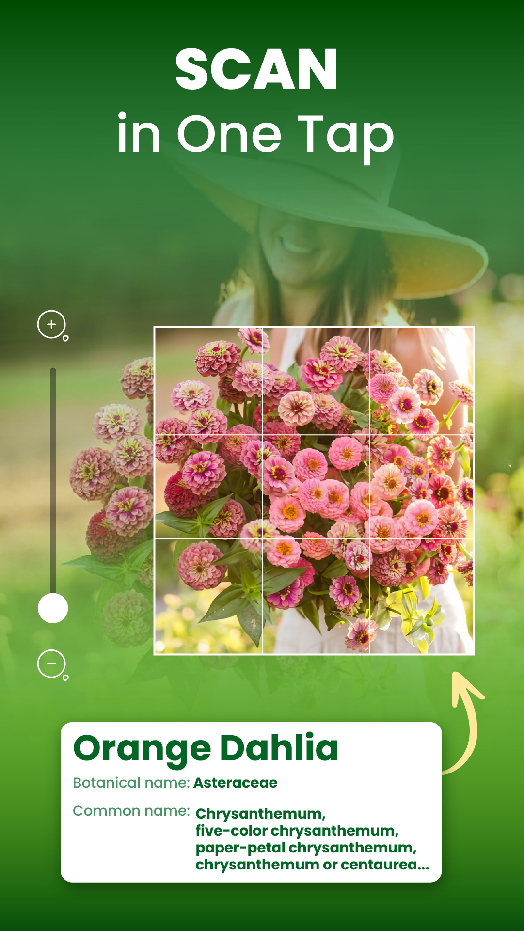 اسکرین شات 5 برنامه Florify: AI Plant Identifier