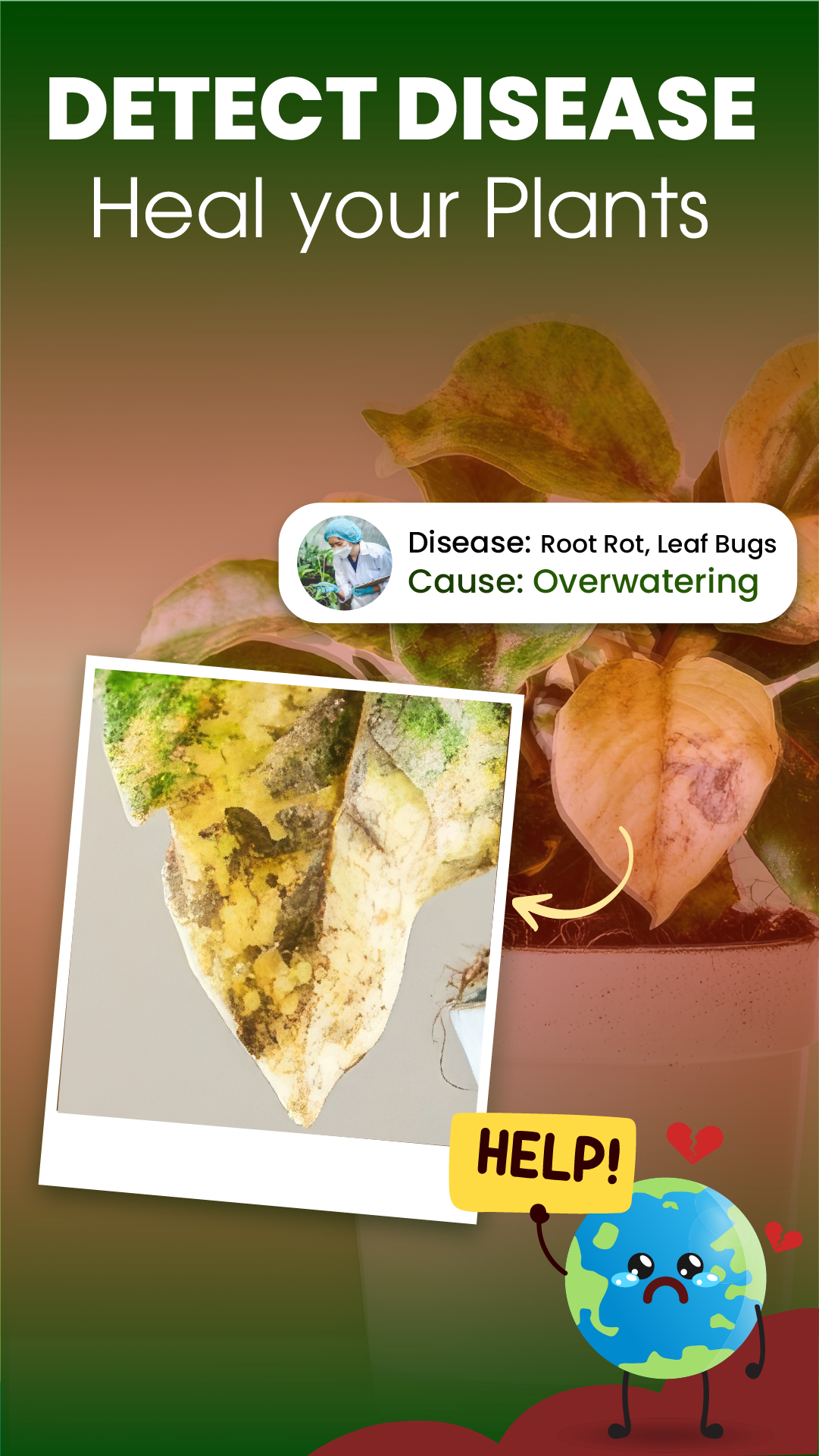 اسکرین شات 3 برنامه Florify: AI Plant Identifier