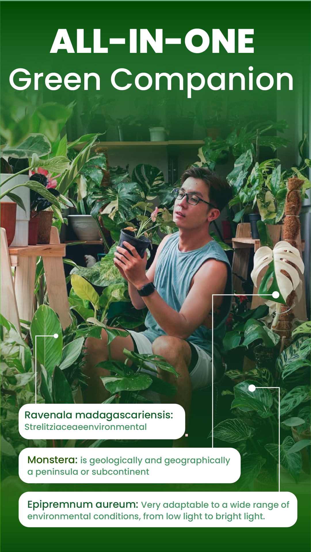 اسکرین شات 7 برنامه Florify: AI Plant Identifier