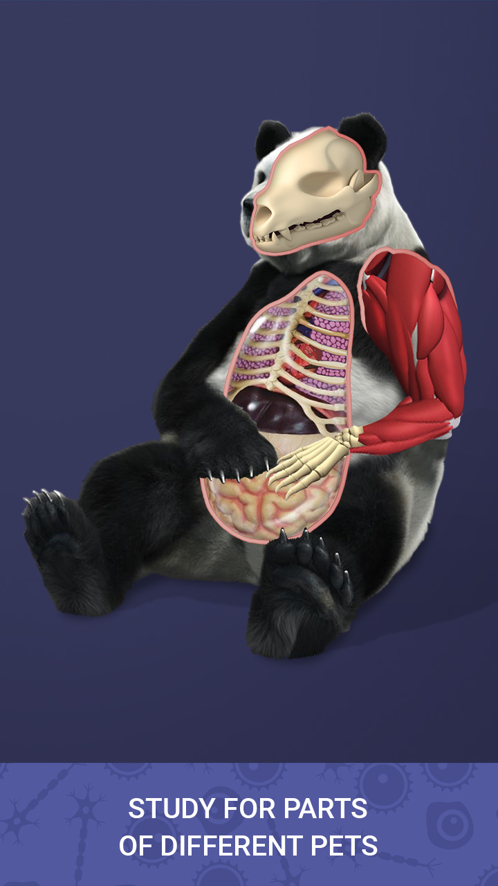 اسکرین شات 3 بازی Idle Pet - Create cell by cell