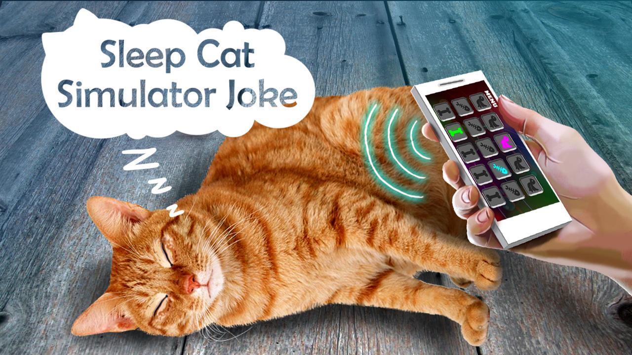 اسکرین شات 3 بازی Sleep Cat Simulator Joke