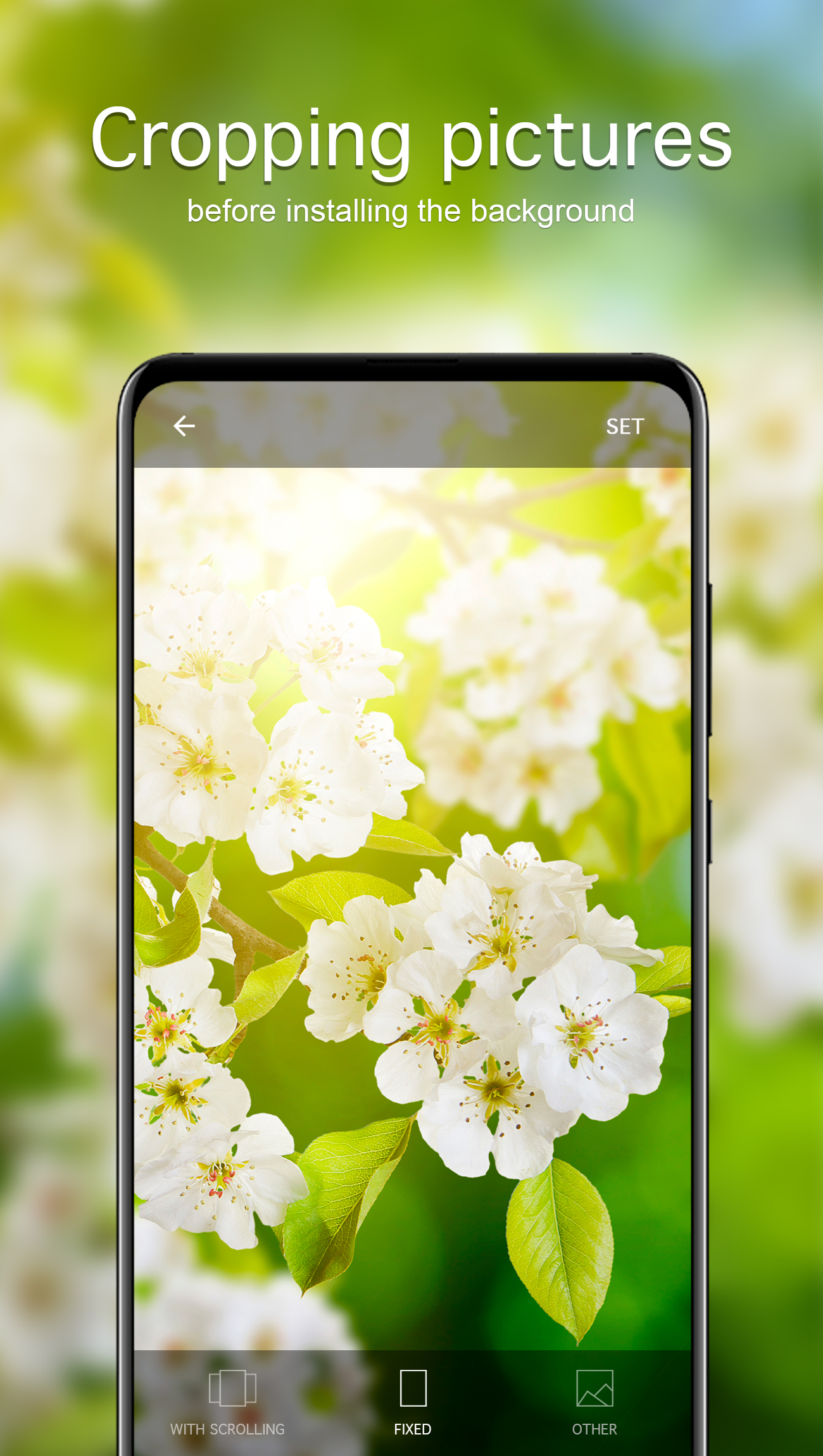 اسکرین شات 4 برنامه Spring Wallpapers 4K