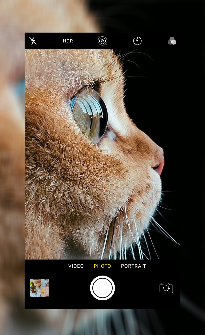 اسکرین شات 3 برنامه Selfie Camera iphone 15