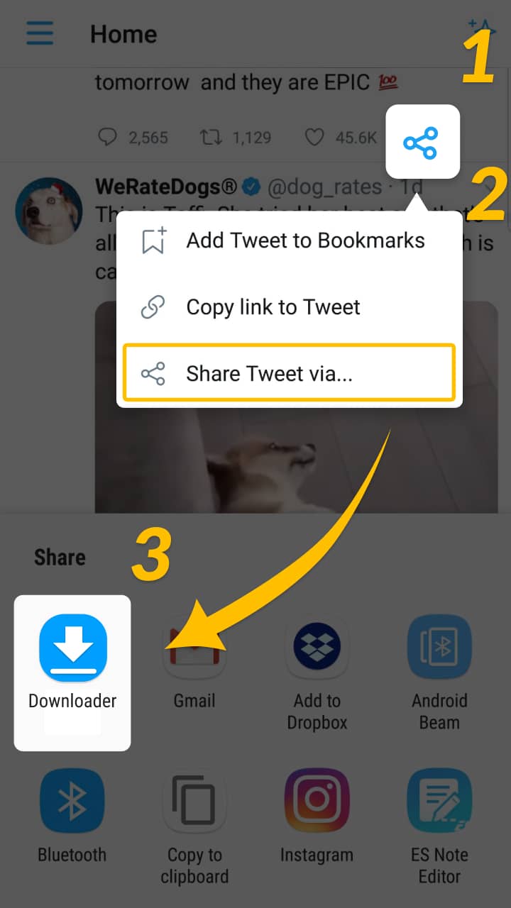 اسکرین شات 1 برنامه Video Downloader & GIF Saver