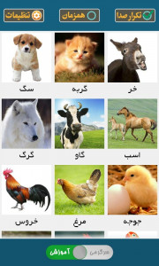 اسکرین شات 1 بازی صدای حیوانات ( آموزش کودکان )