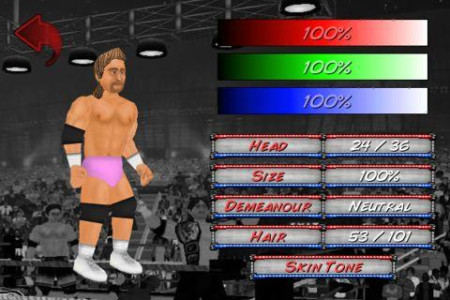 اسکرین شات 2 بازی Wrestling Revolution