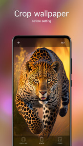 اسکرین شات 4 برنامه Animal Wallpapers 4K