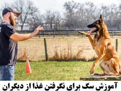 اسکرین شات 2 برنامه هاپو: تربیت و نگهداری سگ