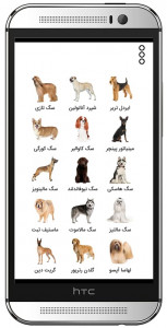 اسکرین شات 7 برنامه هاپو: تربیت و نگهداری سگ