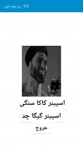 اسکرین شات 3 بازی کاکا رو بچرخون