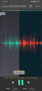 اسکرین شات 4 برنامه Secret Voice Recorder