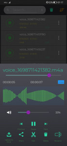 اسکرین شات 6 برنامه Secret Voice Recorder
