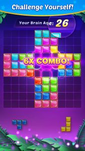اسکرین شات 6 بازی Block Puzzle