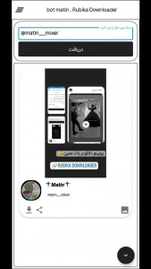 اسکرین شات 3 برنامه روبینو دانلودر