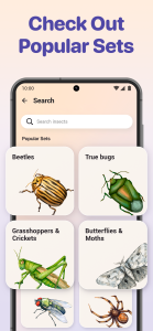 اسکرین شات 5 برنامه Bug ID - Insect Identifier