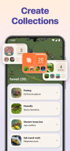 اسکرین شات 6 برنامه Bug ID - Insect Identifier