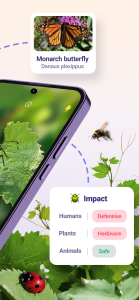 اسکرین شات 2 برنامه Bug ID - Insect Identifier