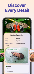 اسکرین شات 7 برنامه Bug ID - Insect Identifier